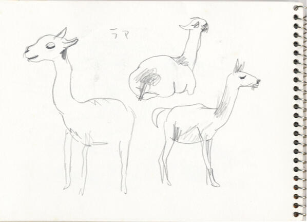 Llama Llama